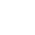 Spiders