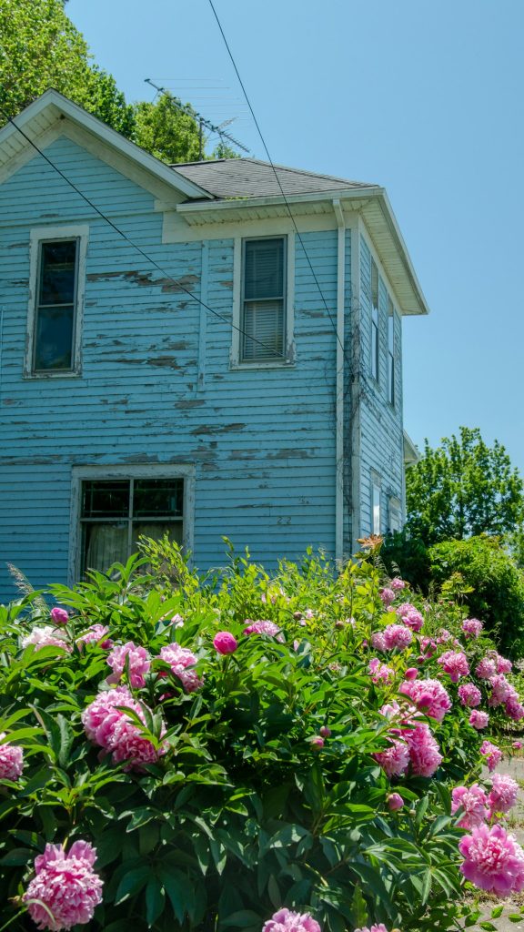 Suburban home in Plymouth Michigan - professional pest control services